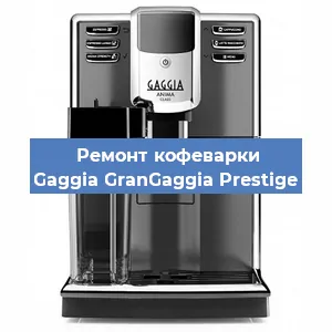 Чистка кофемашины Gaggia GranGaggia Prestige от кофейных масел в Санкт-Петербурге